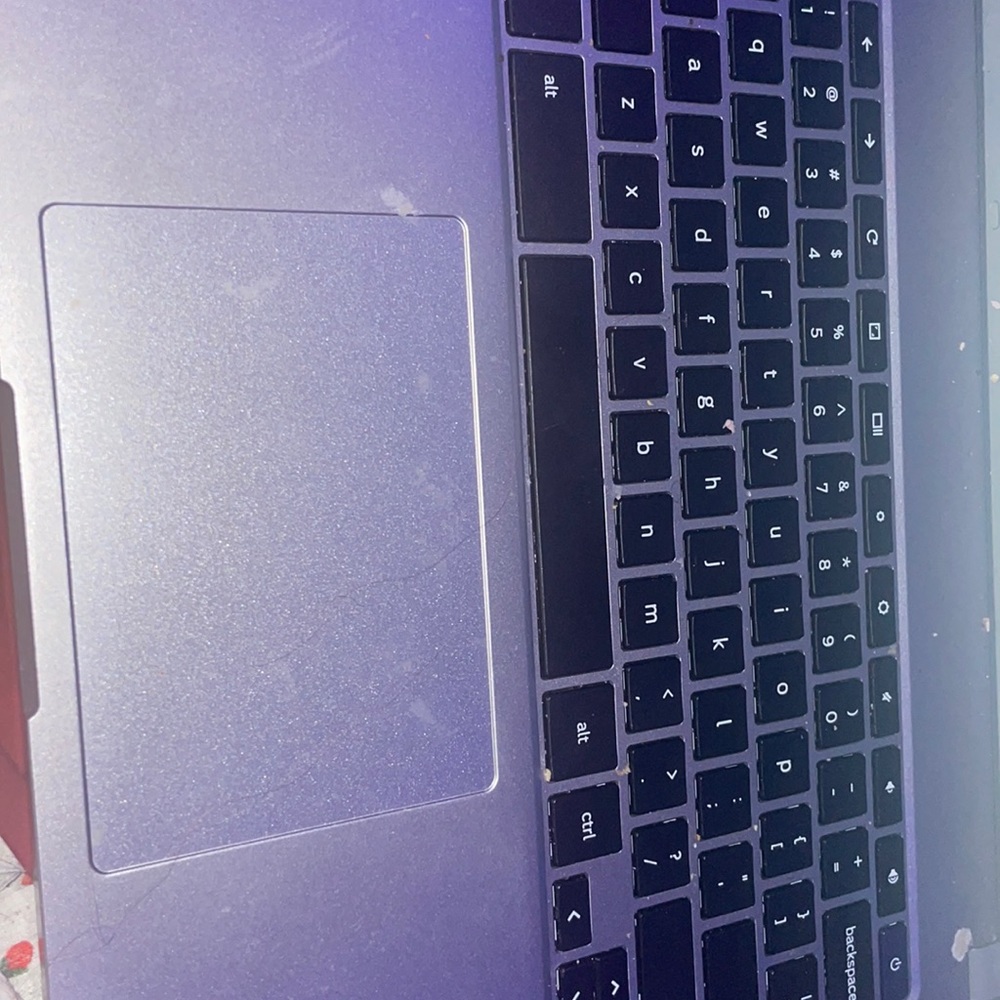 Chrome book that is useless to me (you can clean it yourself)